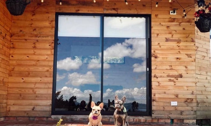 Guatavita Hotel | Altozano Cabañas