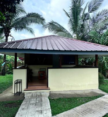 Amadeo Other | Amadeo Verde