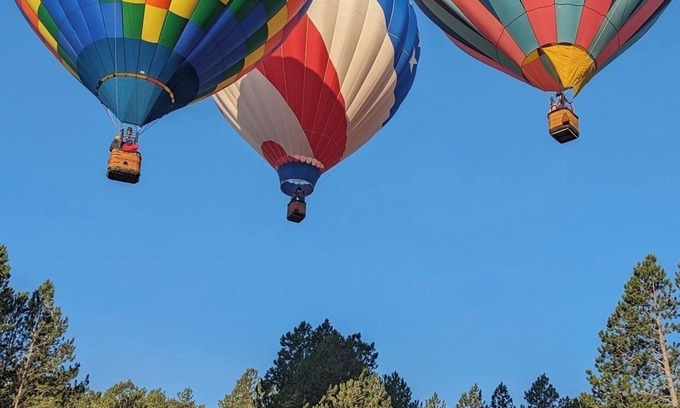 Custer Cabin | Amazing Cabin on 15 Acres of Woods Adjacent to Custer State Park