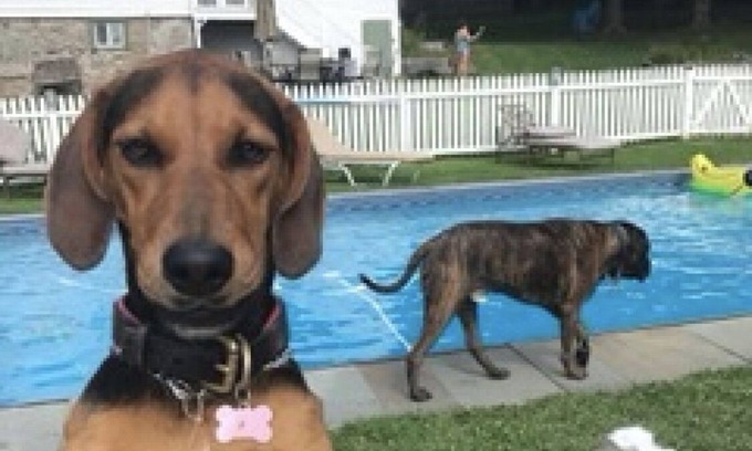 Youngsville Other | Amazing Family Retreat