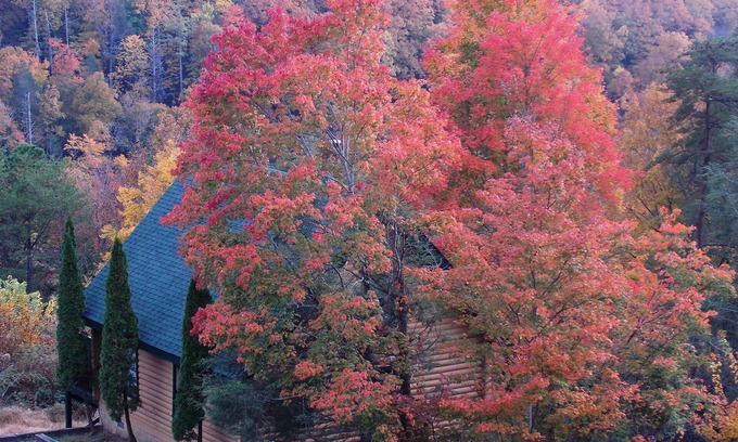 Gatlinburg Cabin | "Amazing Views" "Awesome" "Perfect" "Best Romantic Cabin in the Smokies” Reviews