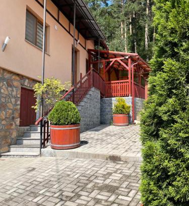 Gheorgheni Apartment | Ambrus vendégház