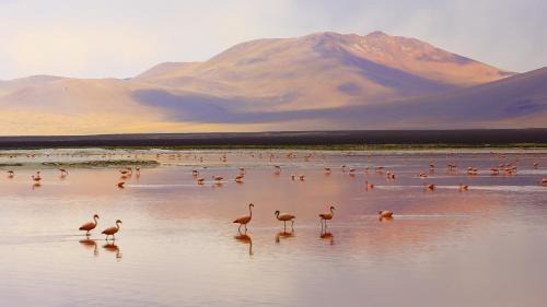 Plomari Apartment | Ammoudeli Beach Apartments