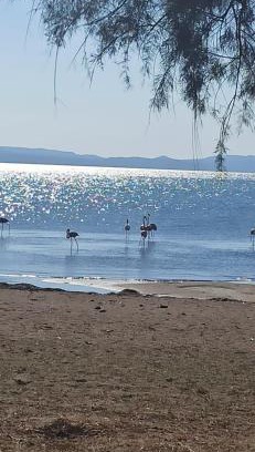 Skala Kallonis Apartment | Angel's Houses