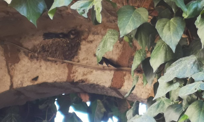 Torri Bed & Breakfast | Antico Borgo di Torri