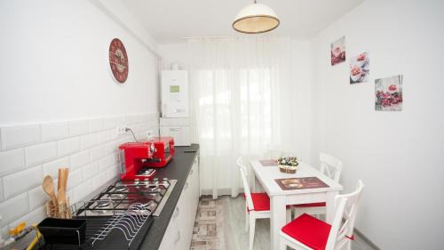 Tirgu Mures Apartment | Apartament Elena