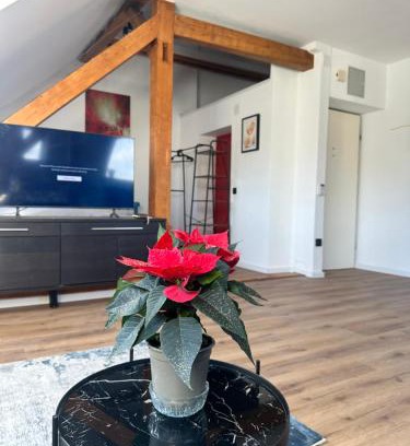 Maxglan Apartment | Apartament Salzburg mit Untersberg Ausblick