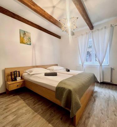 Sibiu Old Town Apartment | Apartament Turnul Olarilor