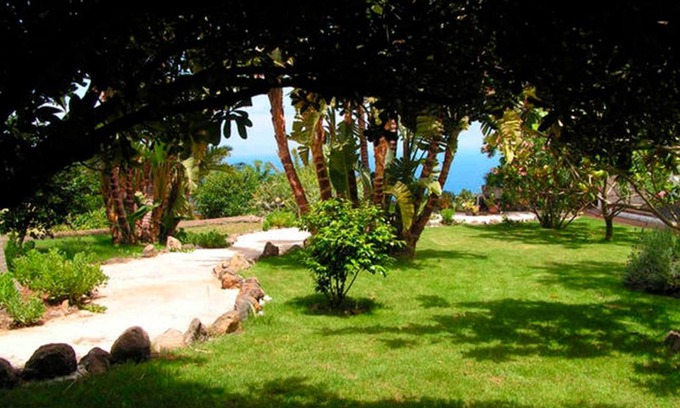 Santa Cruz de la Palma Apartment | Apartamento en finca biológica