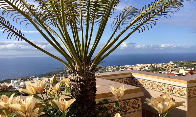 El Guincho Hotel | Apartamentos Estrella del Norte