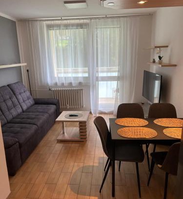 Nove Mesto na Morave Apartment | Apartmán u Arény NMnM