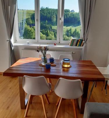Orlicke Zahori Apartment | Apartmán u Kunštátského mlýna