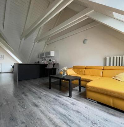 Trnava Apartment | Apartmán v podkroví Malý Paríž