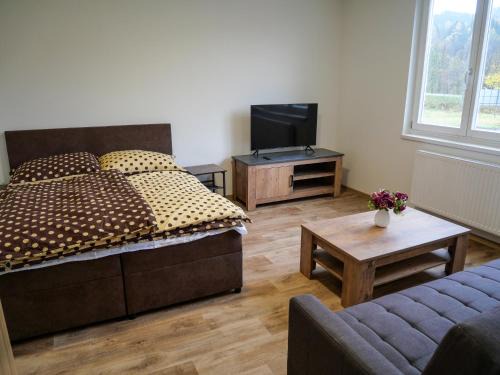 Novy Hrozenkov Apartment | Apartmánový byt Kristýna
