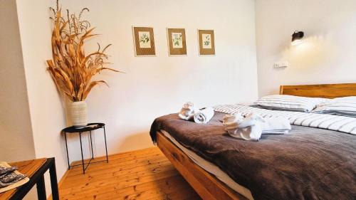 Brniste Apartment | Apartmány Včelín