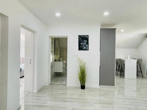 Licko Lesce Apartment | Apartman Pavenka