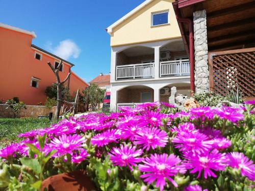 Maslenica Apartment | Apartmani Mala Sirena
