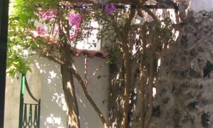 Ischia Porto Apartment | Apartment/flat - Ischia