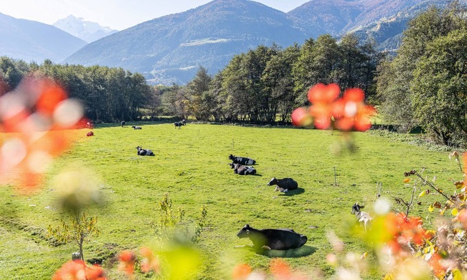 Sluderno Apartment | Apartment 'Hausergut Bonita 4' with Mountain View, Shared Garden and Wi-Fi