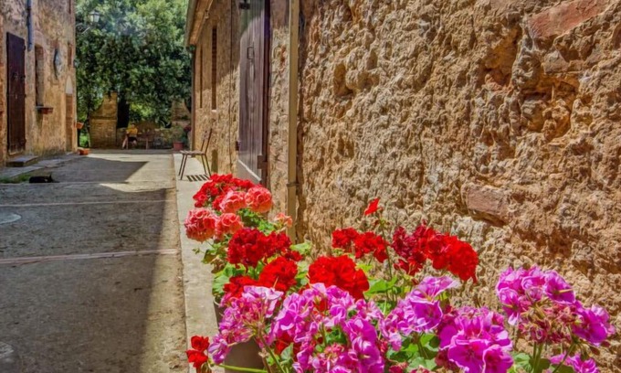 Simignano Apartment | Apartment Il Castagno in Sovicille - 4 persons, 2 bedrooms