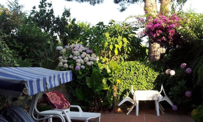 Barano d'Ischia Apartment | Apartment in Barano d Ischia with beautiful terrace