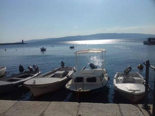 Veljun Primorski Apartment | Apartment in Senj 40198