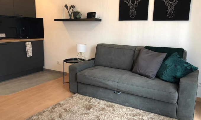 Waggershausen Apartment | Apartment Mila - whole apartment with kitchen and terrace near the fair