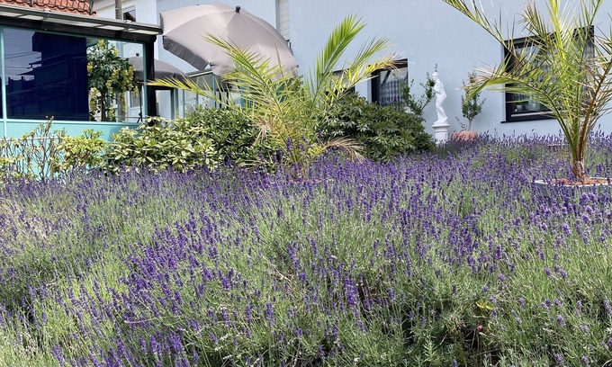 Glashuetten Apartment | Apartment mit Duschbad, Wintergarten und Terrasse im Schönen Taunus, Ruhige Lage