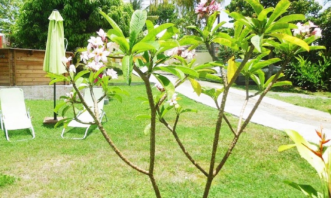 Sainte-Anne Apartment | Apartment "papaya" of Kaz Nina.