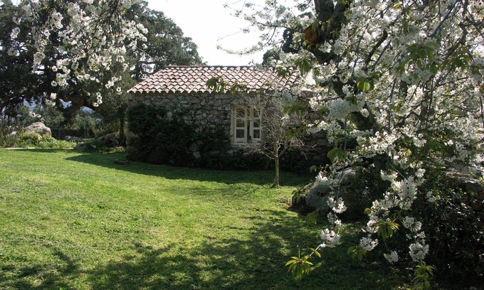 Aglientu Apartment | Apartment 'Rosmarino' with Shared Pool, Private Garden and Air Conditioning