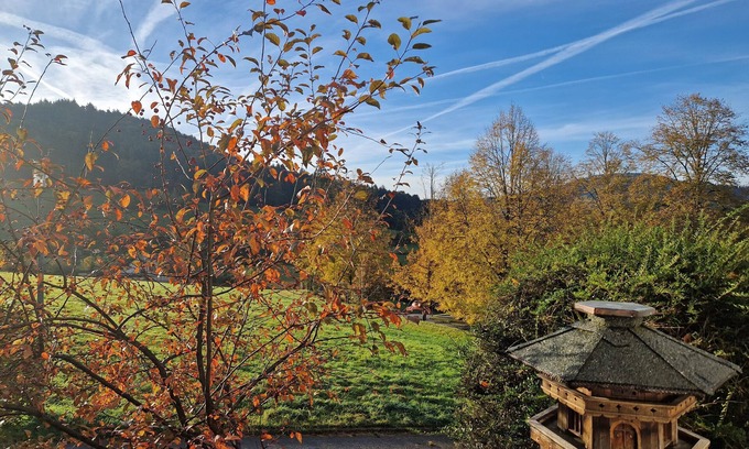 Seelbach Apartment | Apartment 'Villa Schwarzwaldblick'