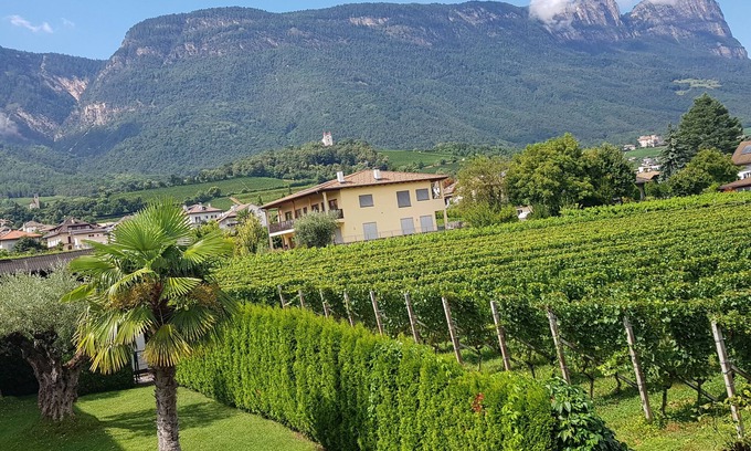St. Michael/San Michele Apartment | Apartment Weinduft (vine aromic) mountains beautzfull landscape