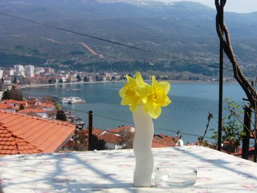 Varosh Bed & Breakfast | Apartments Villa Saray