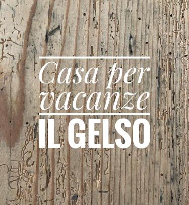 Rovereto Apartment | Appartamento per vacanze "IL GELSO"