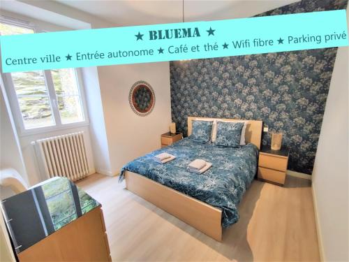Vitre Apartment | Appartement BLUEMA 2 chambres RdC, proche gare, vue sur le château