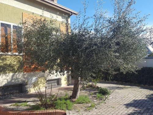 Ponte Sasso Apartment | Appartement côte Adriatique