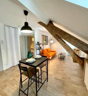 Rodez Apartment | Appartement Cosy Hyper centre WIFI