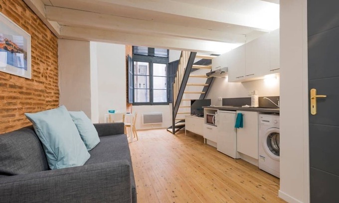 Capitole Apartment | Appartement daurade 1