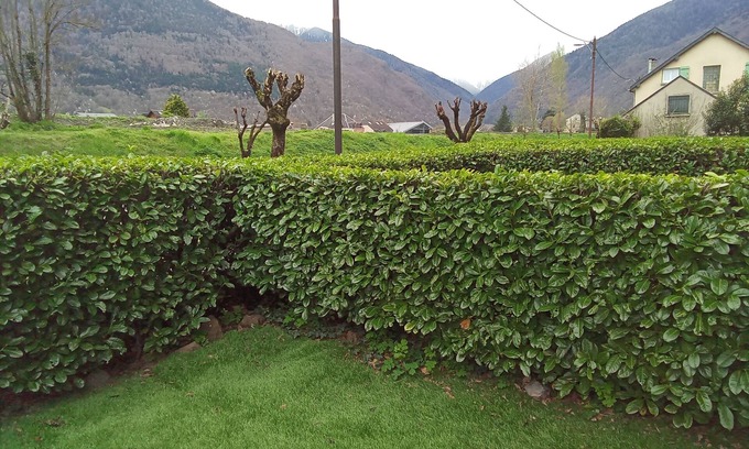 Bagneres-de-Luchon Apartment | Appartement 3 Pièces Avec Jardinet,a 1 km du Centre Ville, Pour 4a6 Personnes