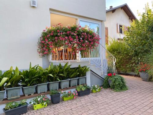 Lingolsheim Apartment | Appartement Le Jardin