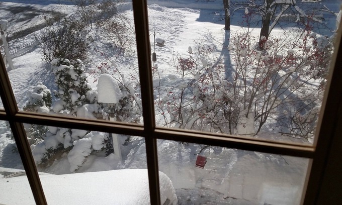 Willow Street Bed & Breakfast | Apple Bin Inn