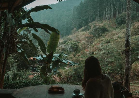 Ella Cabin | Arawe Retreat