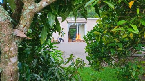 Nelson Mandela Bay Apartment | Armadale Country Retreat