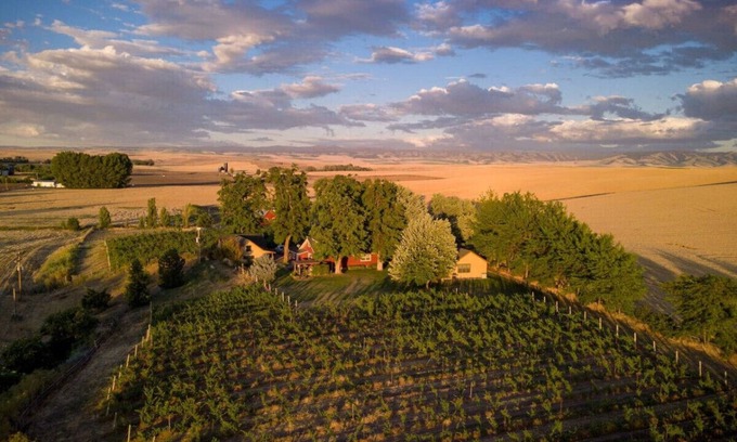 Walla Walla House | Armstrong Vineyard Cottage