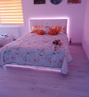 Bistrita Apartment | Art Studio BN