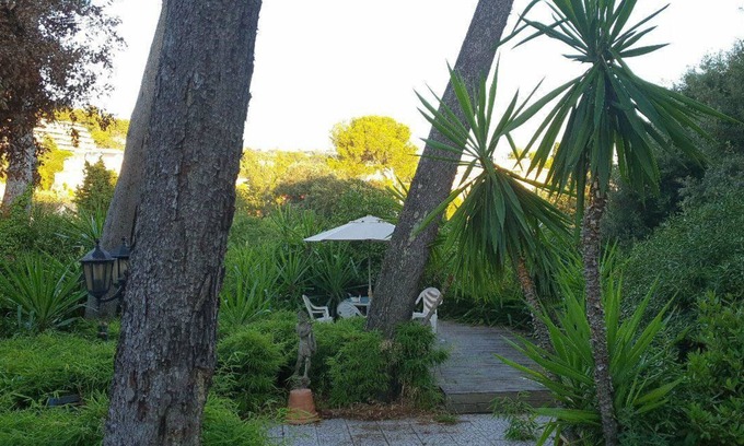 Le Cannet House | Artist's studio: in town, in nature, home, garden, parking