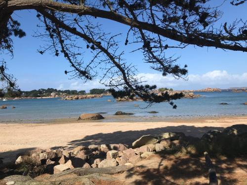 Louannec House | Arty