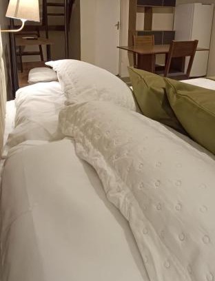 Centro Hotel | Arvore da Vida Pousada