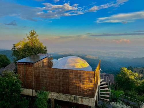 Mae Suai Other | ASA Private Homestay - โดมหมีขาว
