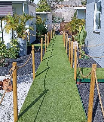 Adeje Other | Asociación deportiva TAGOROR LOS OLIVITOS